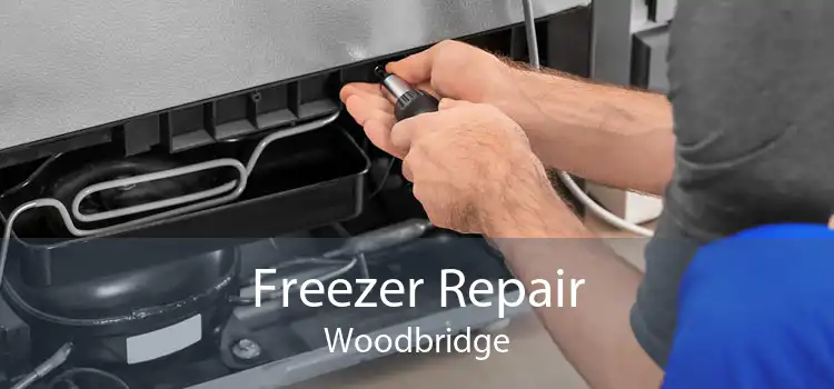 Freezer Repair Woodbridge