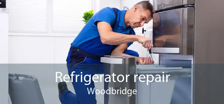 Refrigerator repair Woodbridge