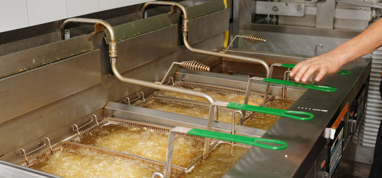 Danby Commercial Fryer Repair in Woodbridge
